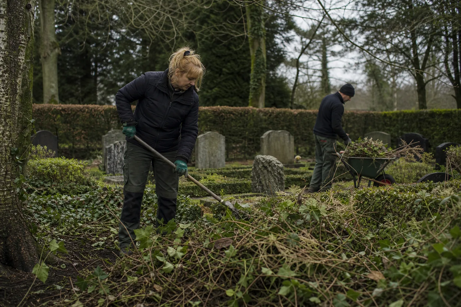 Groenwerk in de Nederlandse buitenruimte. Beeld bij het artikel: Kan een dorpsbegraafplaats een verwaarloosd register in een half jaar weer op orde krijgen?